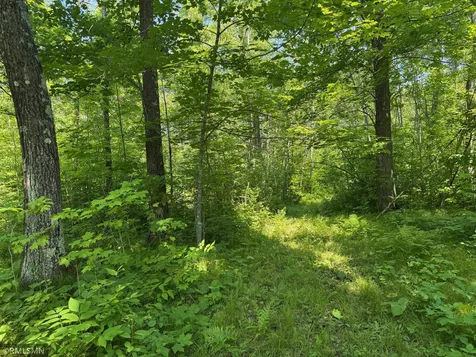 30288 125th Place Sturgeon Lake MN 55783
