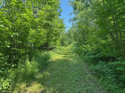 30288 125th Place Sturgeon Lake MN 55783