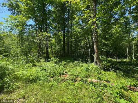 30288 125th Place Sturgeon Lake MN 55783