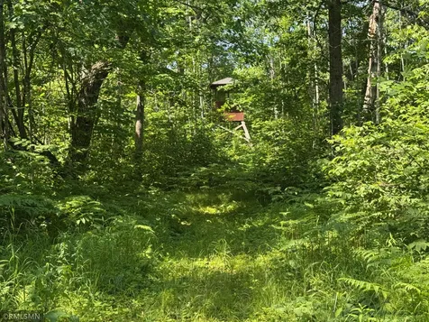 30288 125th Place Sturgeon Lake MN 55783