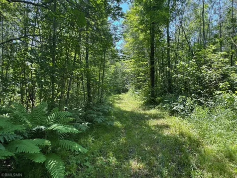 30288 125th Place Sturgeon Lake MN 55783