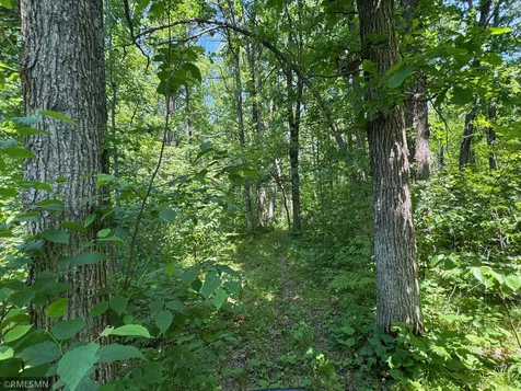 30288 125th Place Sturgeon Lake MN 55783