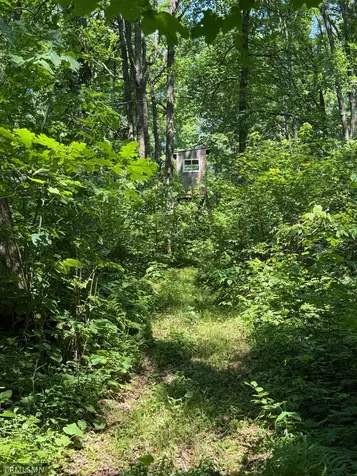 30288 125th Place Sturgeon Lake MN 55783