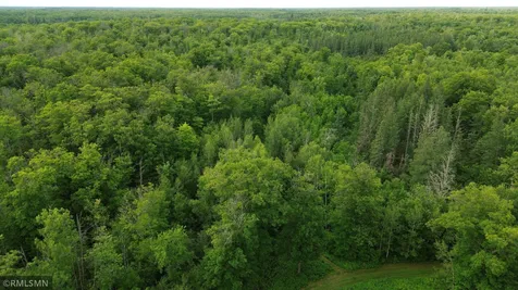 30288 125th Place Sturgeon Lake MN 55783