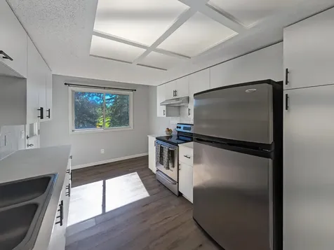 6235 Magda Drive Maple Grove MN 55369