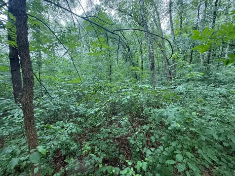 Tbd Hardy Lake Road Baxter MN 56425