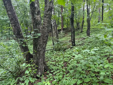 Tbd Hardy Lake Road Baxter MN 56425