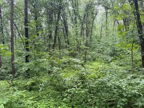 Tbd Hardy Lake Road Baxter MN 56425