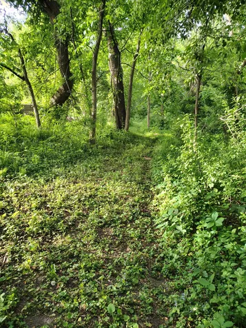 12705 347th Street Lindstrom MN 55045
