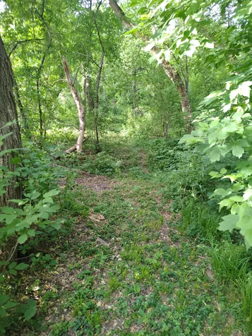 12705 347th Street Lindstrom MN 55045