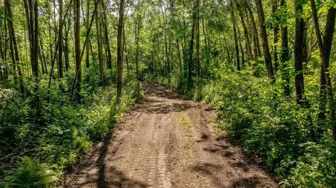 Tbd W Winnie Road NE Bena MN 56626
