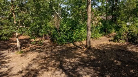 Tbd W Winnie Road NE Bena MN 56626
