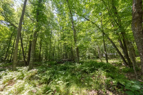 Tbd County 5 Hackensack MN 56452