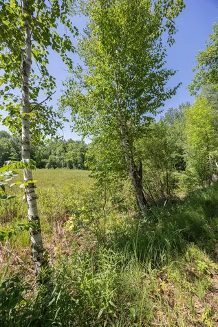 Tbd County 5 Hackensack MN 56452