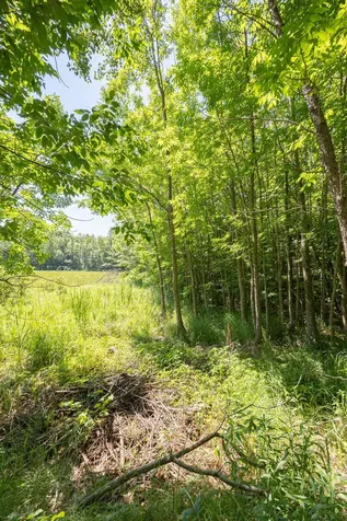 Tbd County 5 Hackensack MN 56452