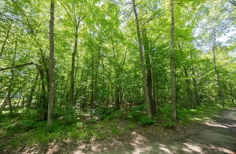 Tbd County 5 Hackensack MN 56452