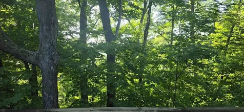 30494 White Pine Circle Cushing MN 56443