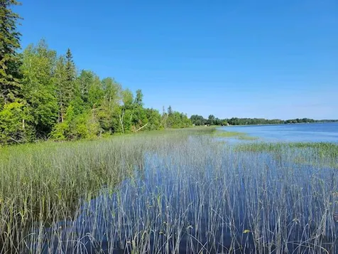 Lot 12 - Tbd Driftwood Lane NW Baudette MN 56623