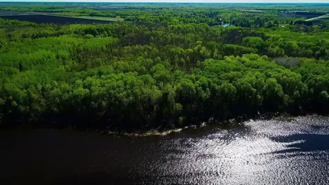 Lot 12 - Tbd Driftwood Lane NW Baudette MN 56623
