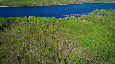 Lot 12 - Tbd Driftwood Lane NW Baudette MN 56623