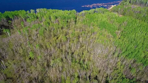 Lot 12 - Tbd Driftwood Lane NW Baudette MN 56623