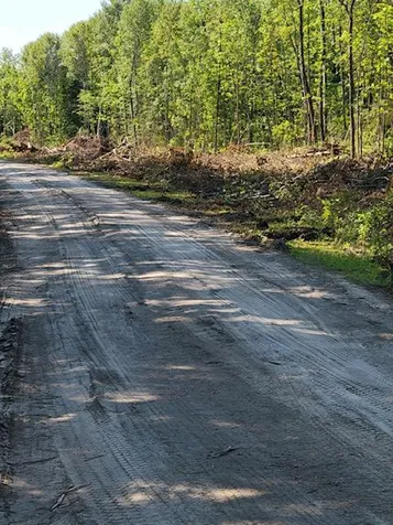 Lot 7 - Tbd Driftwood Lane NW Baudette MN 56623