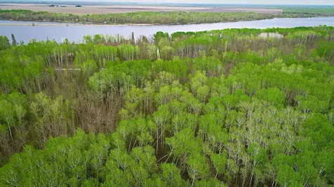 Lot 7 - Tbd Driftwood Lane NW Baudette MN 56623