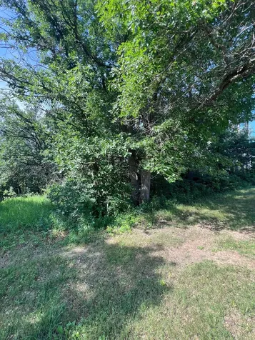 Tbd Main Street E Menahga MN 56464