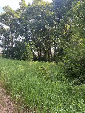 Tbd Main Street E Menahga MN 56464