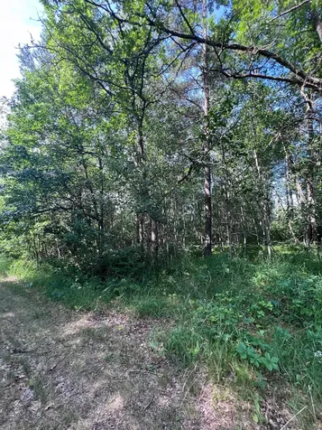 Tbd Main Street E Menahga MN 56464