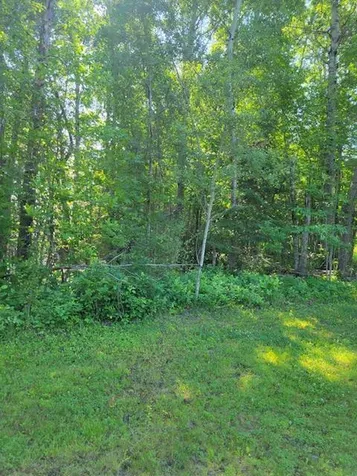 Lot 8 - Tbd Driftwood Lane NW Baudette MN 56623