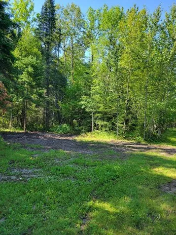 Lot 8 - Tbd Driftwood Lane NW Baudette MN 56623
