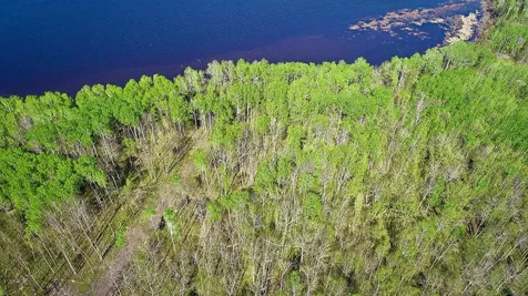 Lot 11 - Tbd Driftwood Lane NW Baudette MN 56623