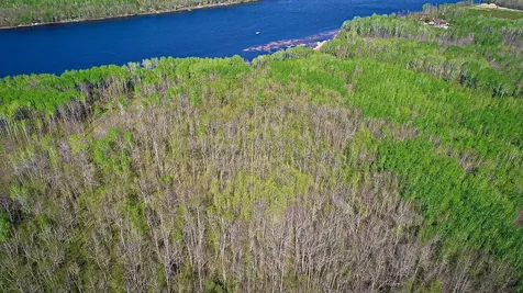 Lot 11 - Tbd Driftwood Lane NW Baudette MN 56623