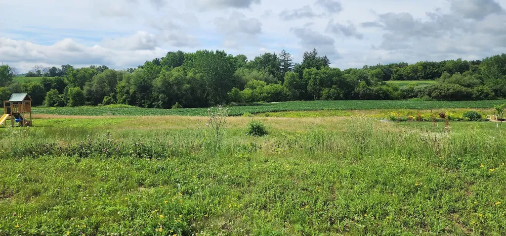1042 3rd Street Wanamingo MN 55983