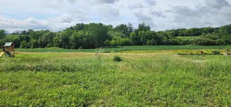 1042 3rd Street Wanamingo MN 55983
