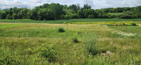 1042 3rd Street Wanamingo MN 55983