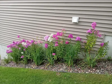 11337 16th Place NE Saint Michael MN 55376