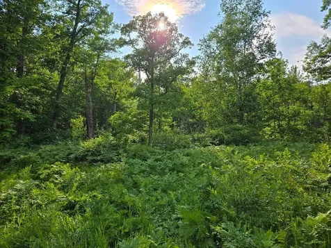 Tbd State 84 NE Longville MN 56655