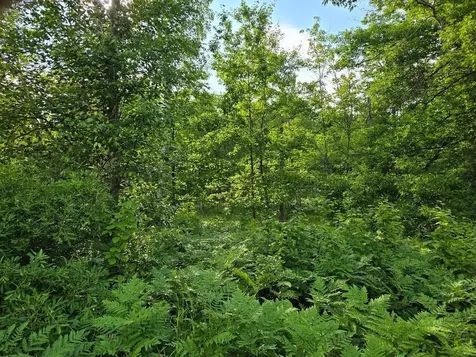 Tbd State 84 NE Longville MN 56655