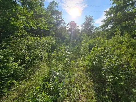 Tbd State 84 NE Longville MN 56655