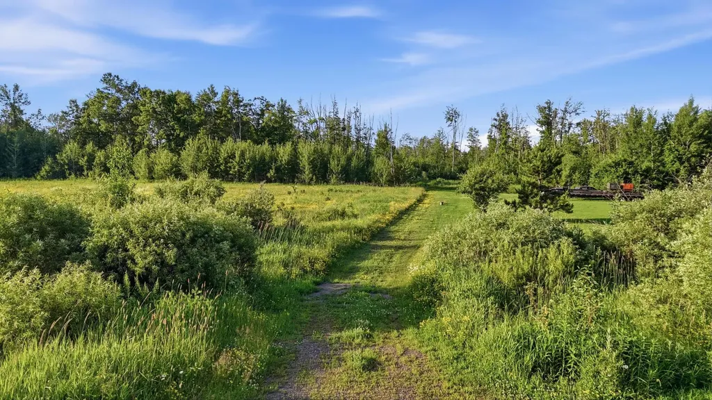 Tbd Florence Drive Moose Lake MN 55767