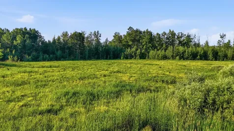 Tbd Florence Drive Moose Lake MN 55767