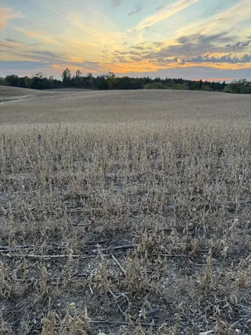 Tbd Placid Drive Dent MN 56528