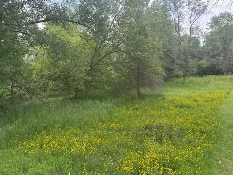Lot 4, Block 4 Circle Drive NW Alexandria MN 56308