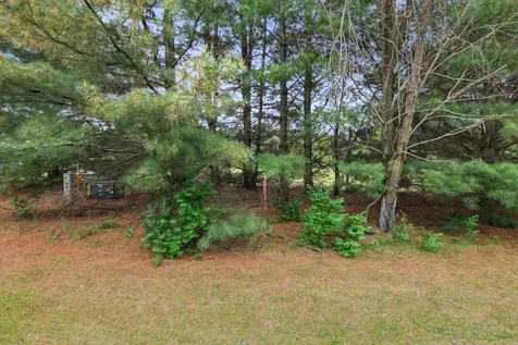 Lot 5 660th Avenue Elk Mound WI 54739