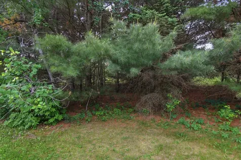 Lot 5 660th Avenue Elk Mound WI 54739