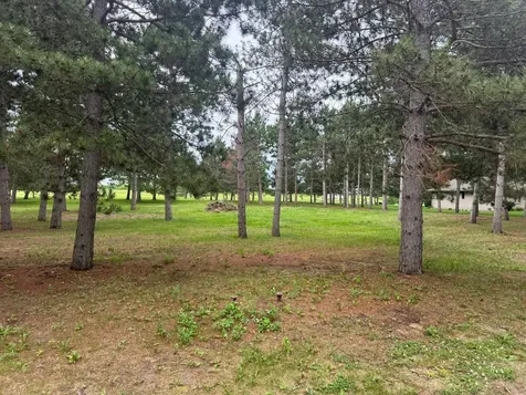 430 Thumper Lodge Road Ottertail MN 56571
