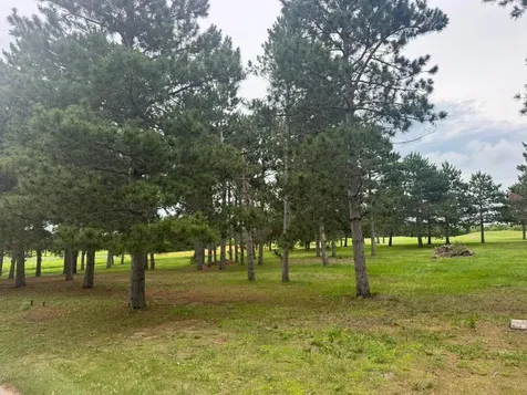 430 Thumper Lodge Road Ottertail MN 56571