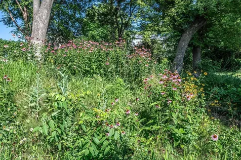 4159 Arbor Lane Eagan MN 55122